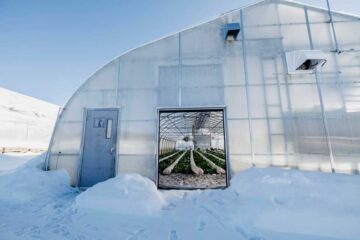 Les serres de Jean-Martin Fortier au Québec pour les légumes en hiver