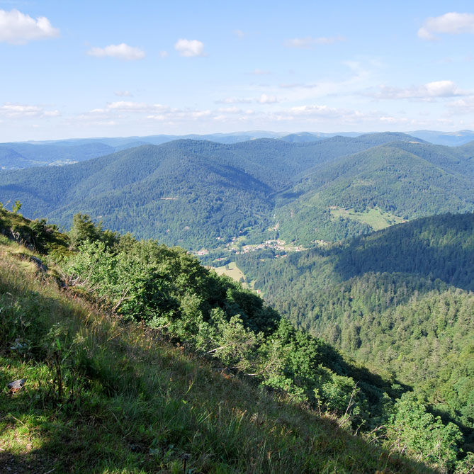 Ballon-Alsace-Sophieost-Depositphotos_324891922_S Ballon d'Alsace - forêt
