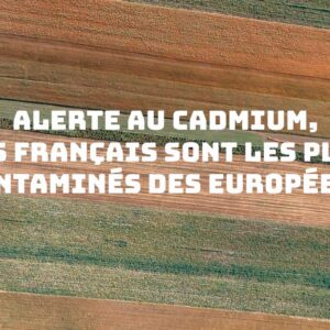 Alerte au cadmium par Pierre Souvet