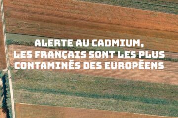 Alerte au cadmium par Pierre Souvet