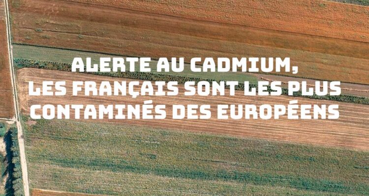 Alerte au cadmium par Pierre Souvet