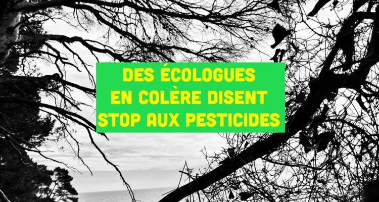 Joseph Garrigue, un écologue en colère