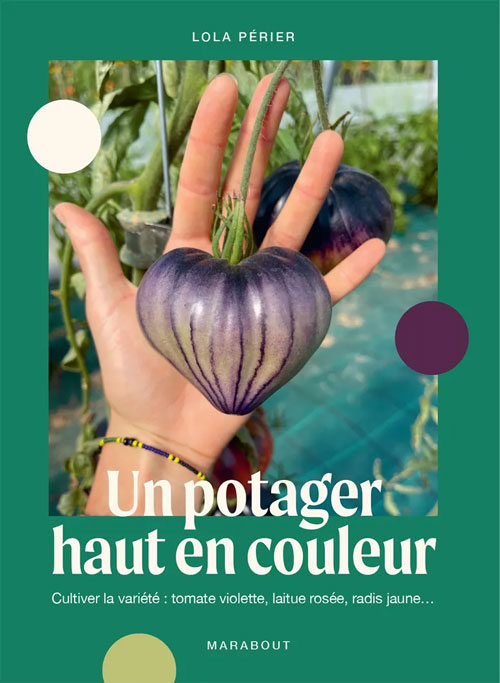 un-potager-haut-en-couleur Un potager haut en couleur
