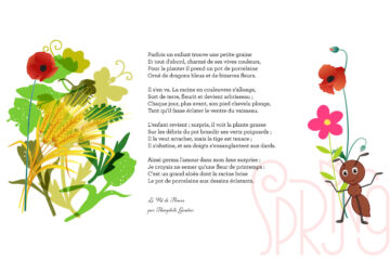 D'où vient le nom des plantes volet 2