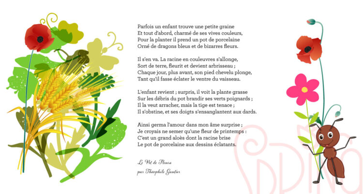 D'où vient le nom des plantes volet 2