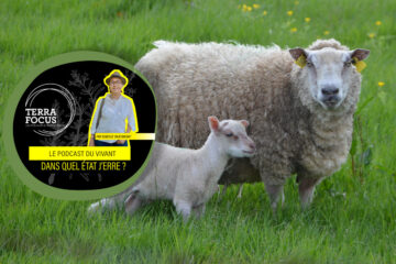 À la terre ! par Marin Fouqué, le paysan des mots