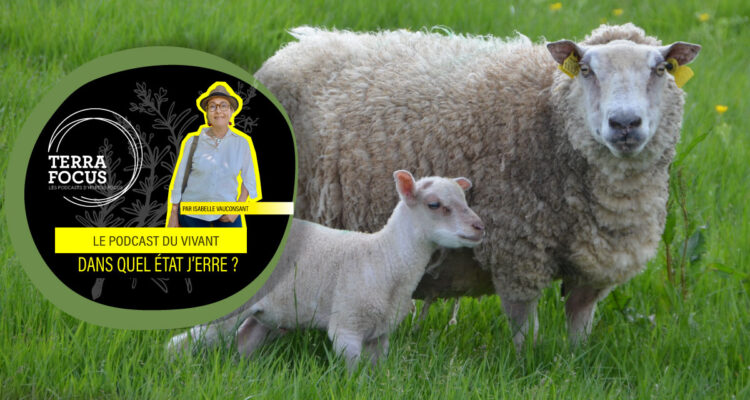 À la terre ! par Marin Fouqué, le paysan des mots