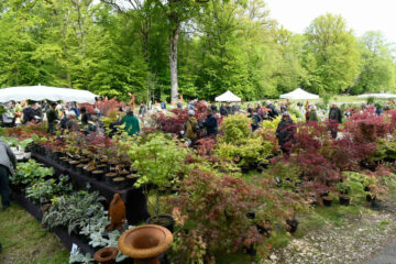 Fête des plantes du Printemps Saint Jean de beauregard