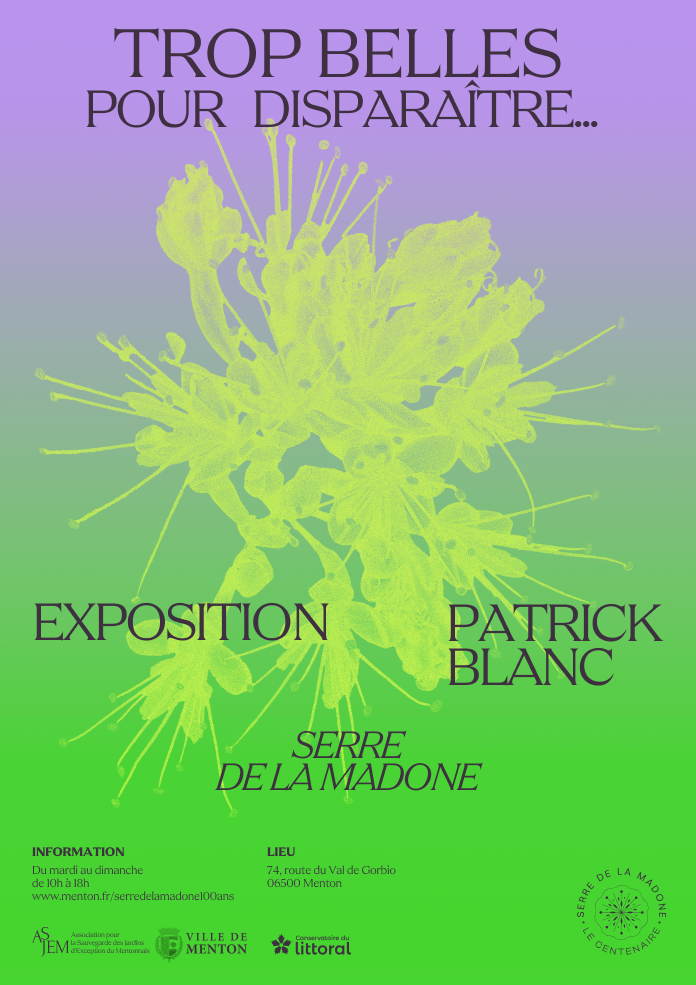 expo blanc expo blanc