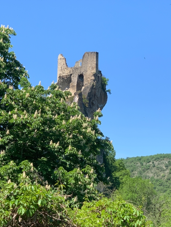 IMG_2145 Forteresse de Penne-Edit ©Isabelle Morand