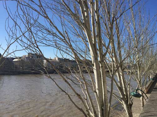 QUAI-DE-SEINE Quai de seine