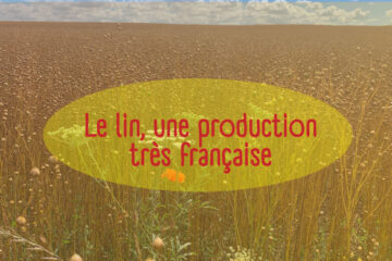 Le lin, une production très française
