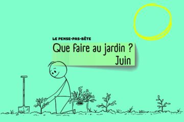 PPB 2025 juin