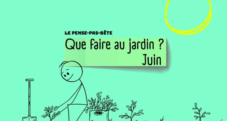 PPB 2025 juin