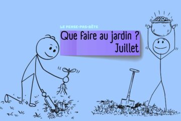 PPB 2025 juillet