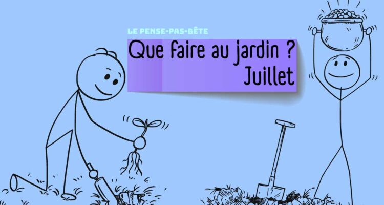 PPB 2025 juillet