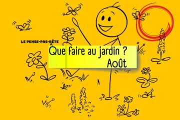 PPB 2025 aout