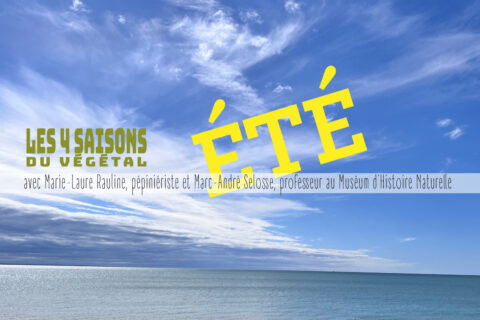 Les 4 saisons du végétal de l'été avec Mar-André Selosse et Marie-Laure Rauline