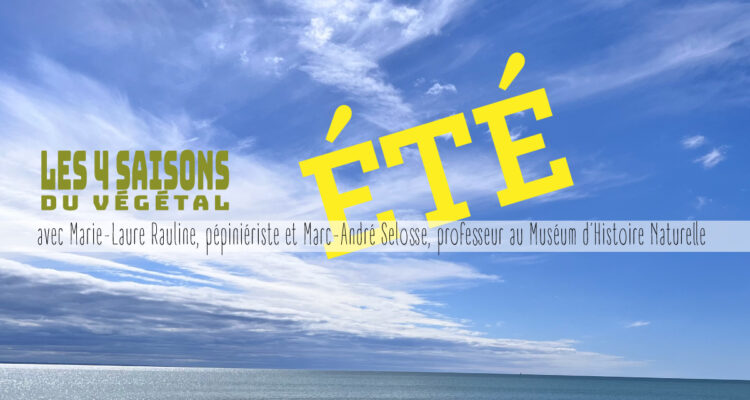 Les 4 saisons du végétal de l'été avec Mar-André Selosse et Marie-Laure Rauline