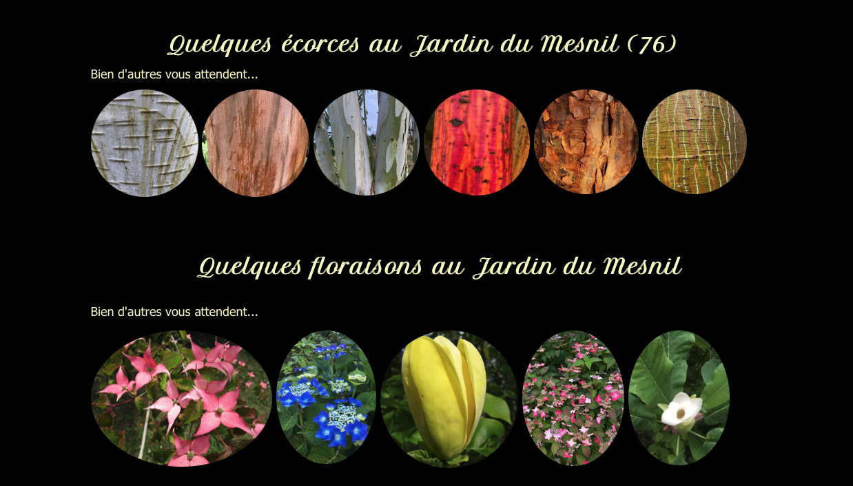 jardin du Mesnil. ©Jardin du Mesnil