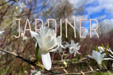 Jardiner dans les ruines