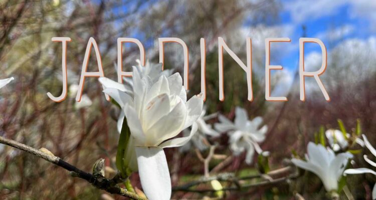 Jardiner dans les ruines