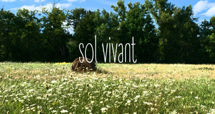 Micro Terra : faire circuler la matière