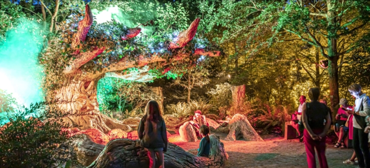 Terra Nocta-Edit ©Terra Botanica