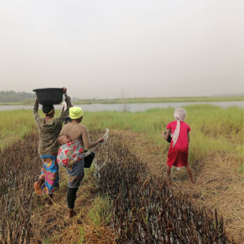 04-Femmes Plantations • Bénin