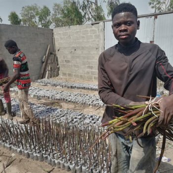 05-jeunes-hommes Palétuviers • Bénin