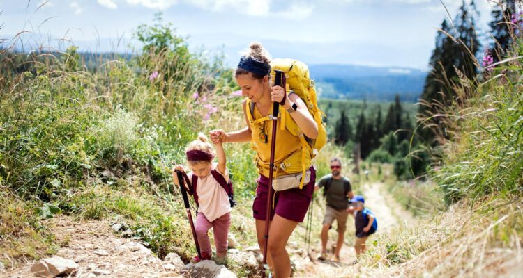 Pour éviter les tiques et la maladie de Lyme, marcher dans les chemins