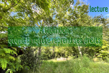 À l'abandon, quand la nature reprend ses droits