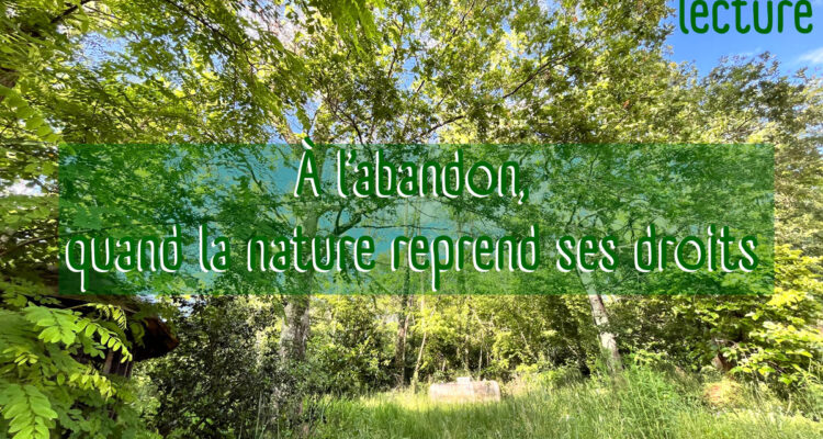 À l'abandon, quand la nature reprend ses droits