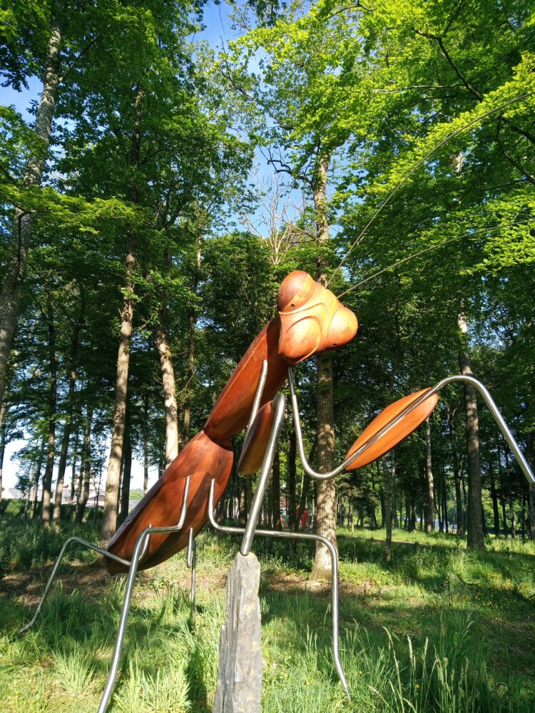 Mante-religieuse-3m-3 ©Marc Georgeault