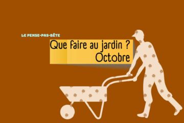 202510-Pense-pas-bete