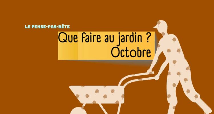 202510-Pense-pas-bete