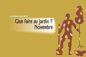 202511-Pense-pas-bete