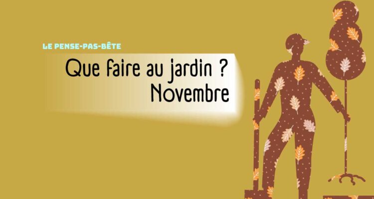 202511-Pense-pas-bete