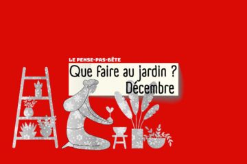 202512-Pense-pas-bete