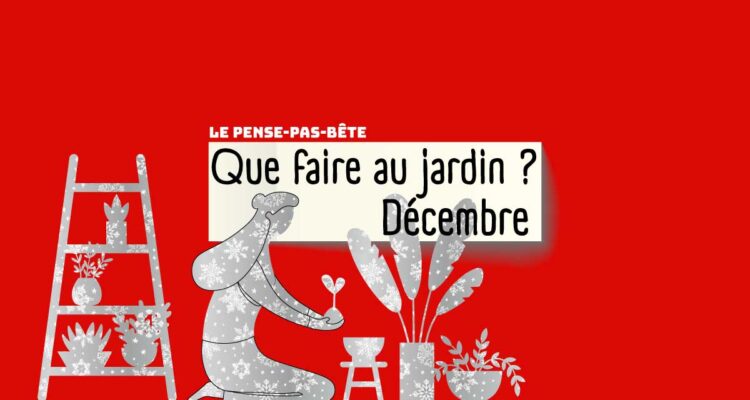202512-Pense-pas-bete