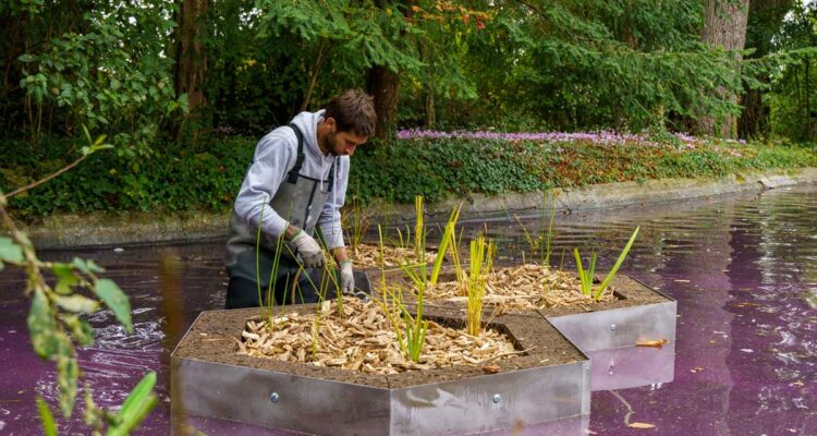 Jardins flottants - Ludovic-AMY, urbanoé