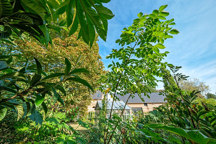 Jardin Deladoucette-Normandie-Rhus chinensi-750x500s-by Didier Hirsch Rhus chinensis ©Didier Hirsch