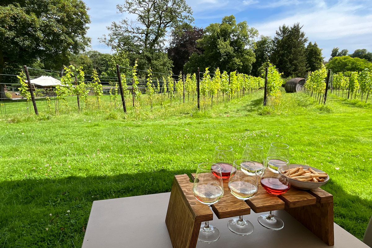 Chateau de Bioul, dégustation devant les vignes ©Valérie Collet