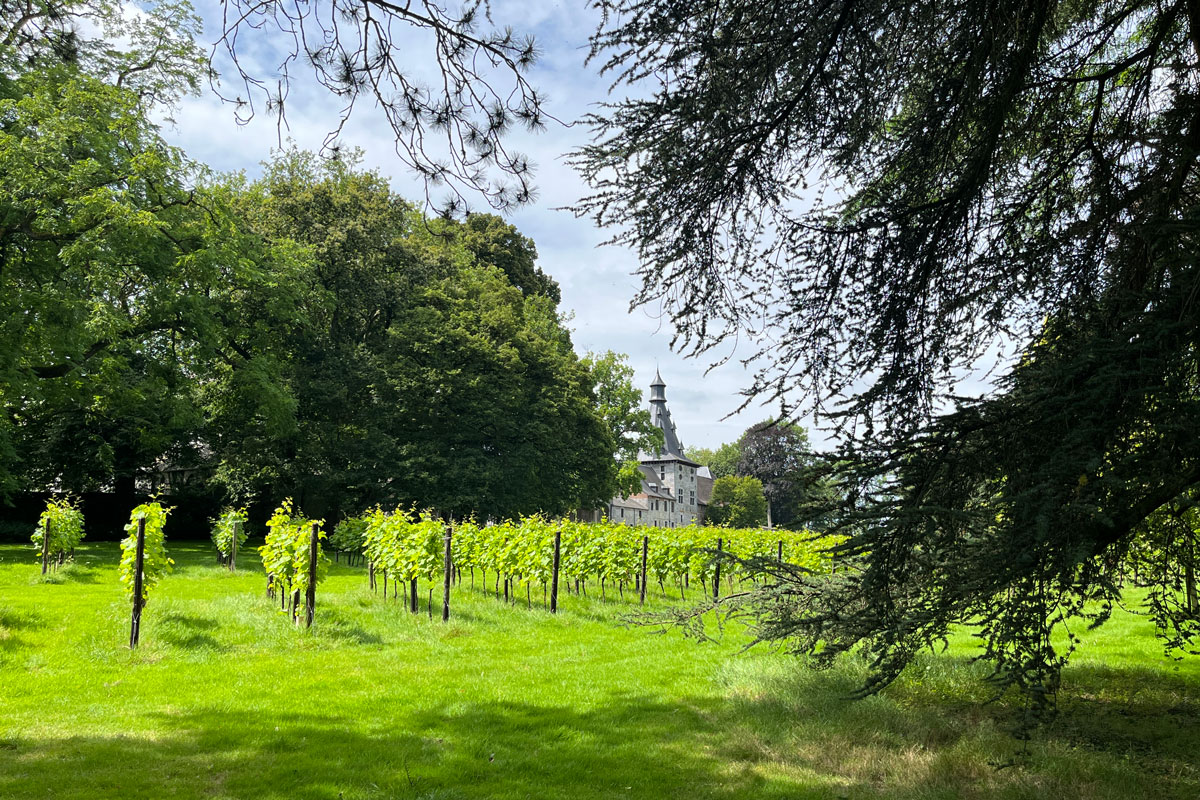 Château de Bioul, parc, vigne et château ©Valérie Collet