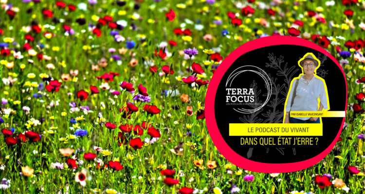 Se bagarrer pour les abeilles avec Pollinis