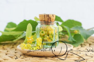 Le Tilleul allié du sommeil
