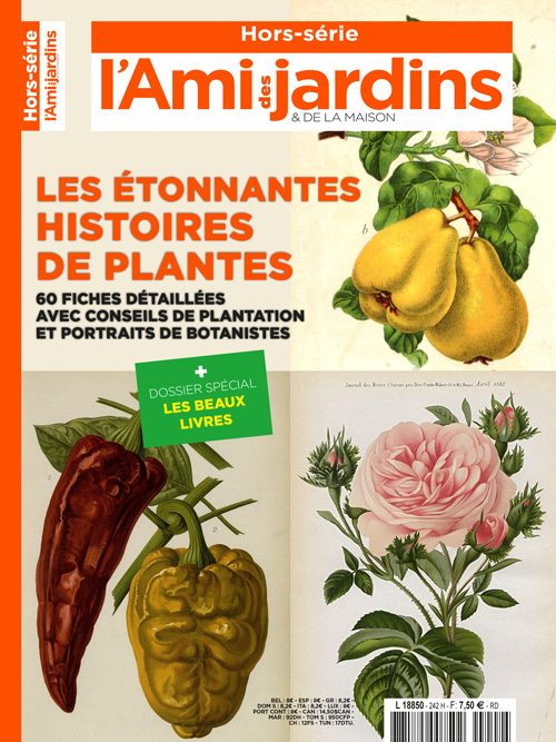 ADJH_0242_COUV-ok ADJH_0242_COUV-ok