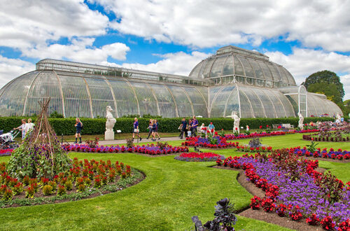 Depositphotos-KEW-ok-567253964-tupungato Les jardins botaniques royaux de Kew