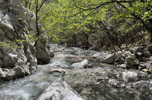iStock-2181408077-ok-Mario-Krpan rivière Ciron