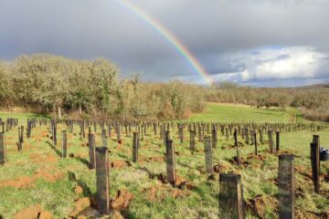 La Forêt des 2 mondes et la forêt-jardin de Katia Bourdarel et Sylvain Ciavaldini